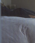 Comfort Assured Polyester Duvet/Comforter