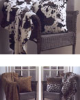 Animal Collection By H.B. Brunelli