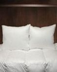Esprit Polyester Pillows by CD Bedding of CA