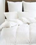St Moritz Duvet/Down Comforter by CD Bedding of CA
