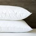 Montana White Goose Down Pillow by CD Bedding of CA
