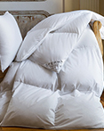 Cornwall Canadian White Goose Down by Sferra Fine Linens