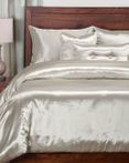 Cinderella Silver Slipper by SiS Covers