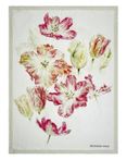 Spring Tulip Buttermilk by Designers Guild Bedding