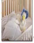 Gosling Crib Cluster Fibre Duvet / Down Comforter